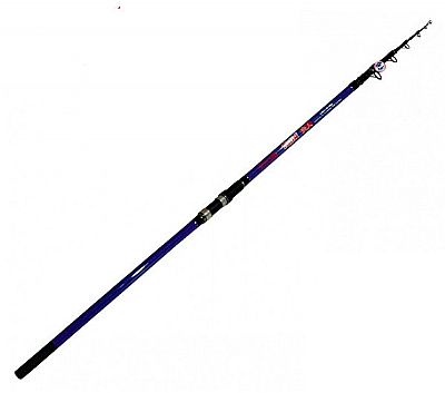 Καλάμι Ryobi Fujin 4.00m 40-100gr