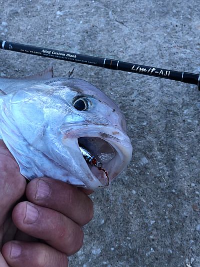 Καλάμι Pregio Limit Aji 2.28m / 0.3-5gr