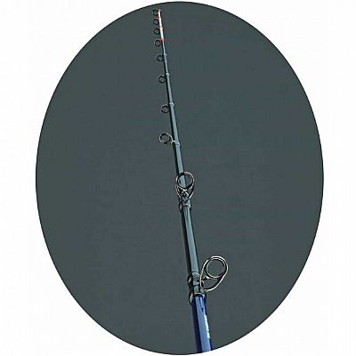 Καλάμι Sakura Shukan Slow Pitch Jig Casting 1.98m 150-300gr