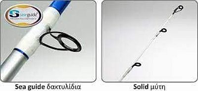 Καλάμι Pregio Virus CS 2.10m / 80-220gr