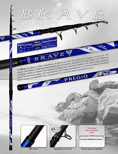 Καλάμι Pregio Brave 4.20m / 100-200gr