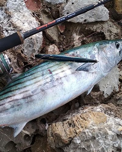 Καλάμι Pregio Strange 2.70m 10-45gr