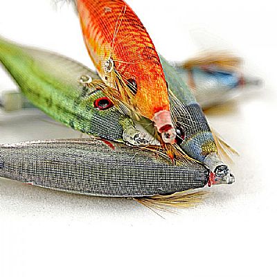 Καλαμαριέρες Black Diamond Seiko Shita Yasuo 1710