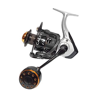 Μηχανισμός Pioneer Calyx 4000