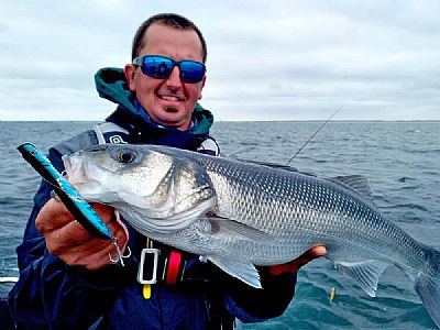 Τεχνητά Sakura Dynastick 95F 9.5cm - 10gr