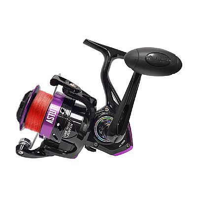 Μηχανισμός Pioneer Astute 2000