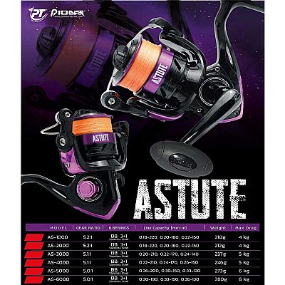 Μηχανισμός Pioneer Astute 3000