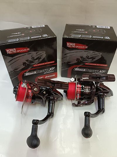 Μηχανισμός Pioneer Black Berry 2000