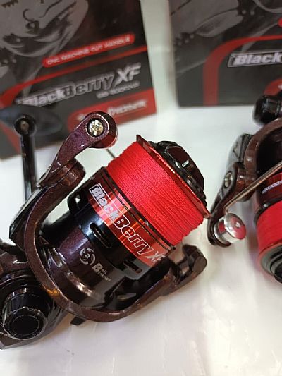 Μηχανισμός Pioneer Black Berry 2000