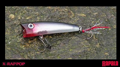 Τεχνητά Rapala X-Rap Popper 7cm 11gr