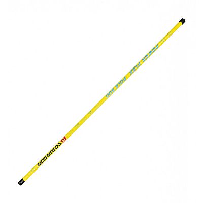 Καλάμι Απίκο Robinson Power Flex Pole 5.00m