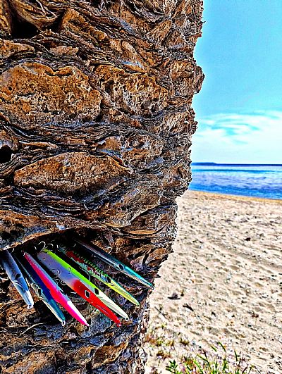 Τεχνητά Golden Catch Harisma 05 / 20.5cm - 31gr