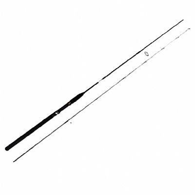 Καλάμι Crown Snake για Spinning 2.40m 10-40gr