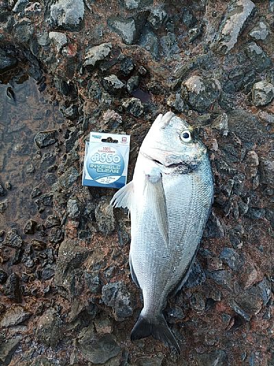 Αόρατη Πετονιά Asso Invisible Clear 0.23mm - 50m