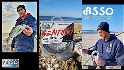 Πετονιά Asso Sentinel 0.26mm - 300m