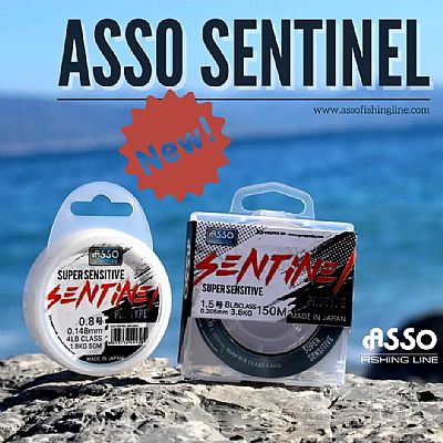 Πετονιά Asso Sentinel 0.31mm - 300m