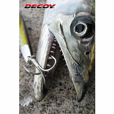 Σαλαγκιές Decoy Y-S21 No 4