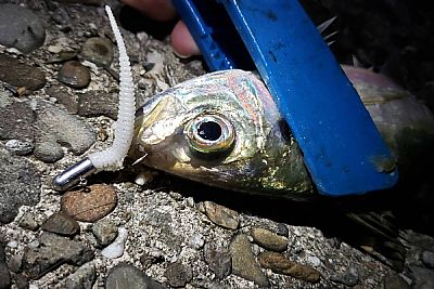 Μολυβοκεφαλές Decoy SV-70 Rocket Magic 3.5gr