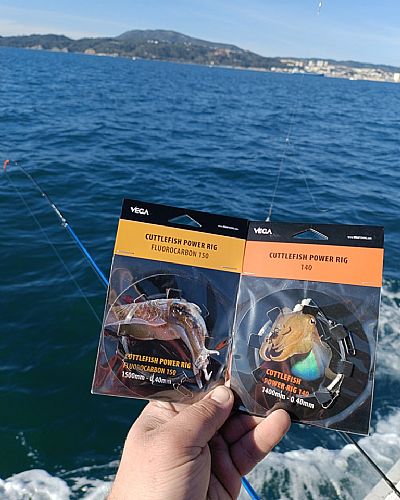 Αρματωσιά για Σουπιές Vega Cuttlefish Power Rig Fluorocarbon 1.50m