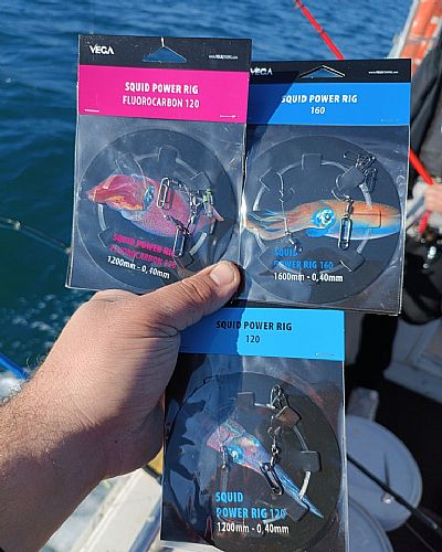 Αρματωσιά για Καλαμάρια Vega Squid Power Rig Fluorocarbon 1.60m