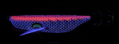 Καλαμαριέρα Φαλαινάκι Progre Live Sutte Kuzilar Orange #2.5