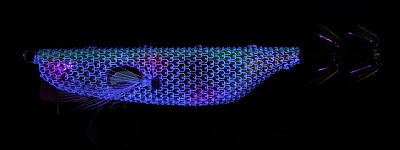 Καλαμαριέρα Φαλαινάκι Progre Live Sutte Kuzilar Rainbow #2.5