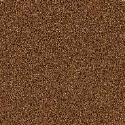 ΨΑΡΟΤΡΟΦΗ PLUS 0.5kg